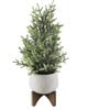 Faux Frosted Christmas Tree In Staghead Ceramic Pot - Trees - 1 - thumbnail