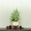 Faux Frosted Christmas Tree In Staghead Ceramic Pot - Trees - 2