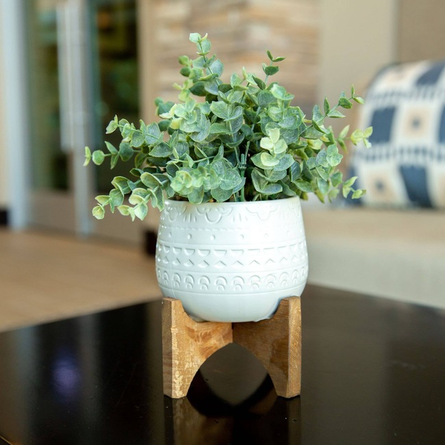 Faux Eucalyptus in Matte White Ceramic Pot on Wood - Plants - 2