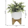 Faux Eucalyptus in Matte White Ceramic Pot on Wood - Plants - 3