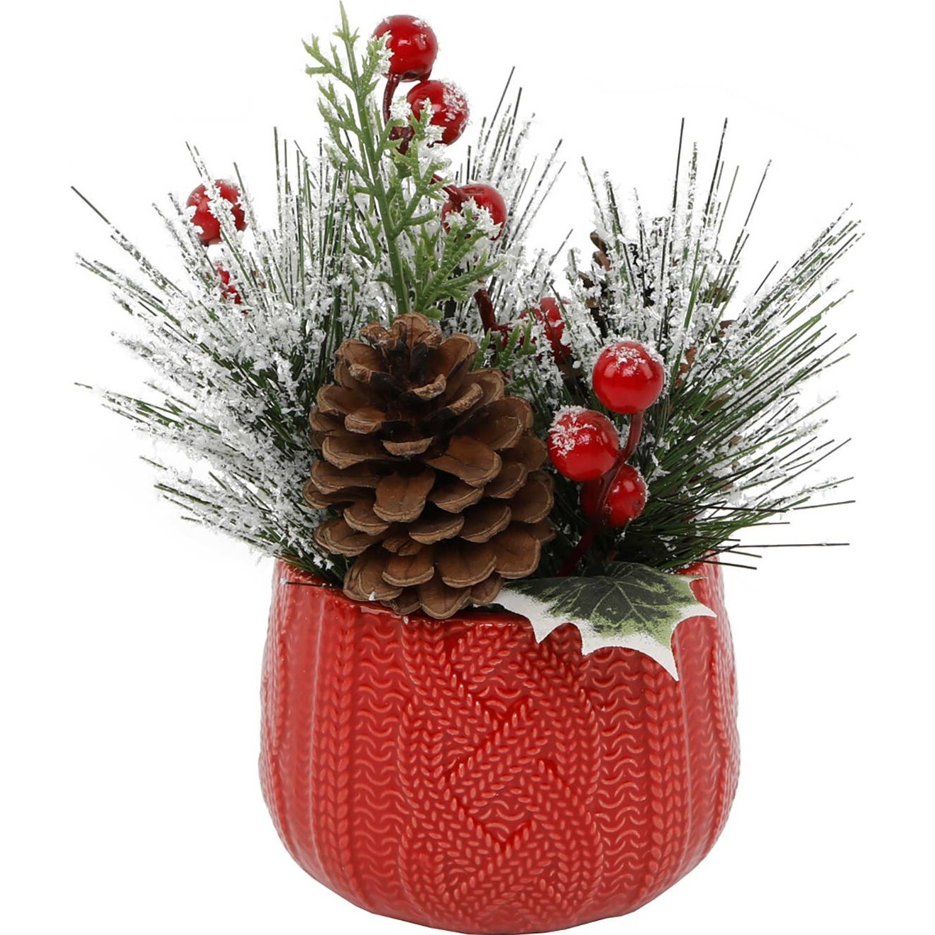 Christmas Mix In Red Sweater Ceramic Pot - Plants - 1