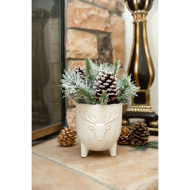 Christmas Mix In Staghead Ceramic Footed Pot - Plants - 2