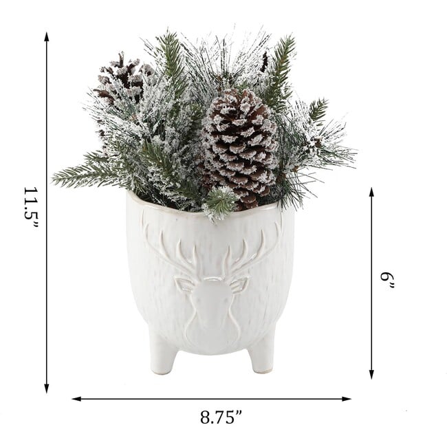 Christmas Mix In Staghead Ceramic Footed Pot - Plants - 3