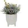 Christmas Mix In Cardinal Ceramic Footed Pot - Plants - 1 - thumbnail