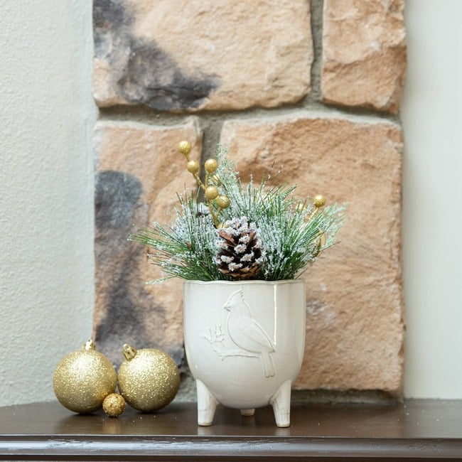 Christmas Mix In Cardinal Ceramic Footed Pot - Plants - 2