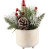 Christmas Mix In Berries Ceramic Footed Pot - Plants - 1 - thumbnail