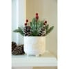 Christmas Mix In Berries Ceramic Footed Pot - Plants - 2