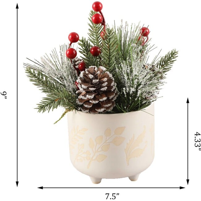 Christmas Mix In Berries Ceramic Footed Pot - Plants - 3