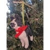 Knit Boston Terrier Ornament, White/Black - Ornaments - 4