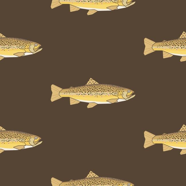 Brown Trout Traditional Wallpaper - Wallpaper - 3