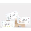 Playful Milestone Cards, Sky - Paper Goods - 3