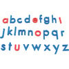 Rainbow Alphabet and Digraphs - STEM Toys - 4