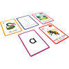 Grapheme to Phoneme Flashcards - PRINT - STEM Toys - 3