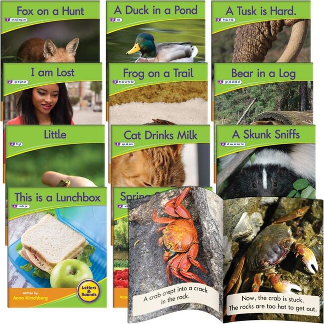 Blend Readers - Non-Fiction Learning Set