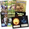 Beanstalk Books: Decodable Big Books Non-Fiction - 6 XL Books - Books - 1 - thumbnail