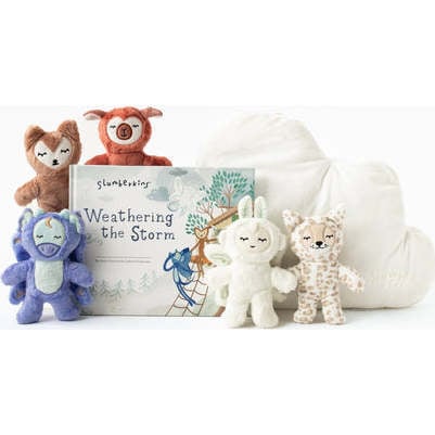 Weathering the Storm Pillow Set