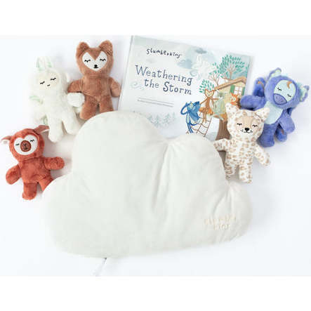 Weathering the Storm Pillow Set - Plush - 2