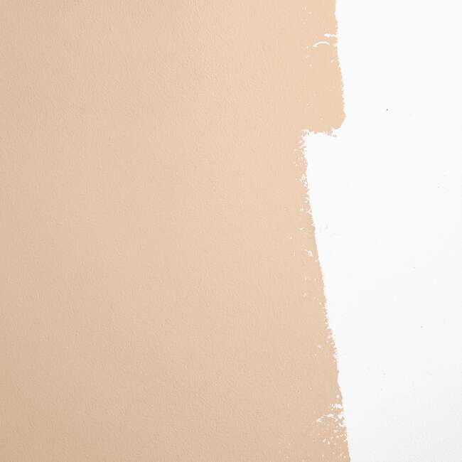 Brooklyn Cowboy Low-Sheen Semi-Matte Paint, Warm Earthy-Beige - Paint - 3