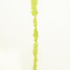 Ephemera 10-Yard Wallpaper, Chartreuse - Wallpaper - 8