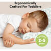 Toddler Pillow With Pillowcase 13X18, DinoBloom - Pillows - 2