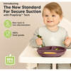 Baby BPA-Free Prep Silicone Suction Plate, Rocky (Pack of 3) - Food Storage - 2