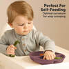 Baby BPA-Free Prep Silicone Suction Plate, Rocky (Pack of 3) - Food Storage - 7