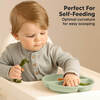 Baby BPA-Free Prep Silicone Suction Plate, Sage (Pack of 3) - Food Storage - 7