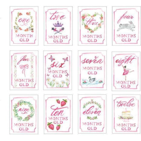 Monthly Milestone Cards, Girl - Paper Goods - 1