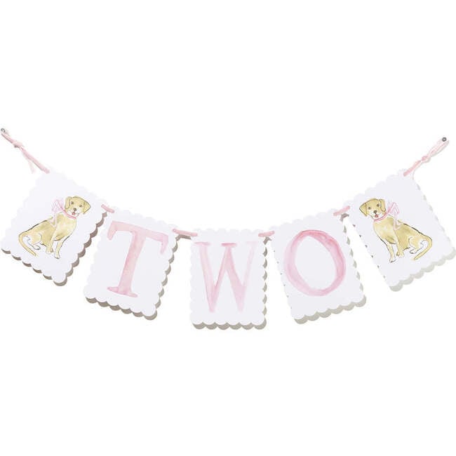 "Two" Banner, Pink - Garlands - 2