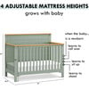 Shea 4-In-1 Convertible Crib, Light Sage & Honey - Cribs - 9