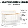 Shea 4-In-1 Convertible Crib, Warm White & Honey - Cribs - 9