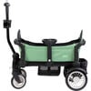 The Joey Wagon, Spring Fern - Double Strollers - 1 - thumbnail