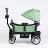 The Joey Wagon, Spring Fern - Double Strollers - 4