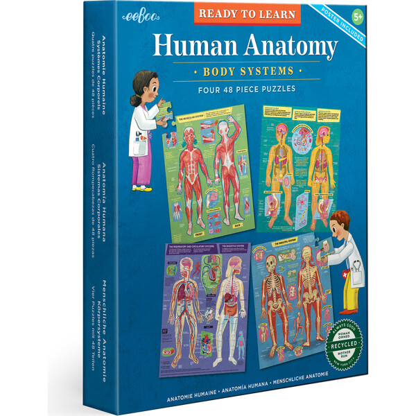 Ready to Learn: Human Anatomy 4-Puzzles Body Systems Set of 4 - eeBoo ...
