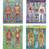 Ready to Learn: Human Anatomy 4-Puzzles Body Systems Set of 4 - Puzzles - 3