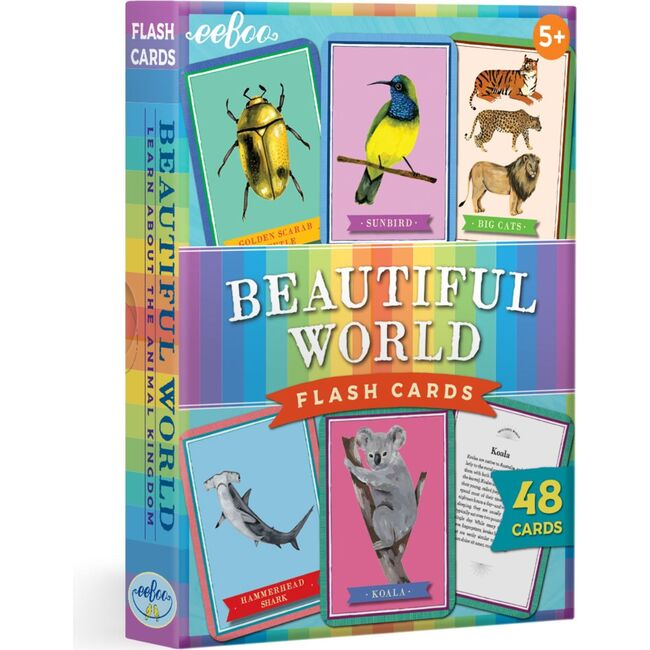 Beautiful World Educational Flash Cards