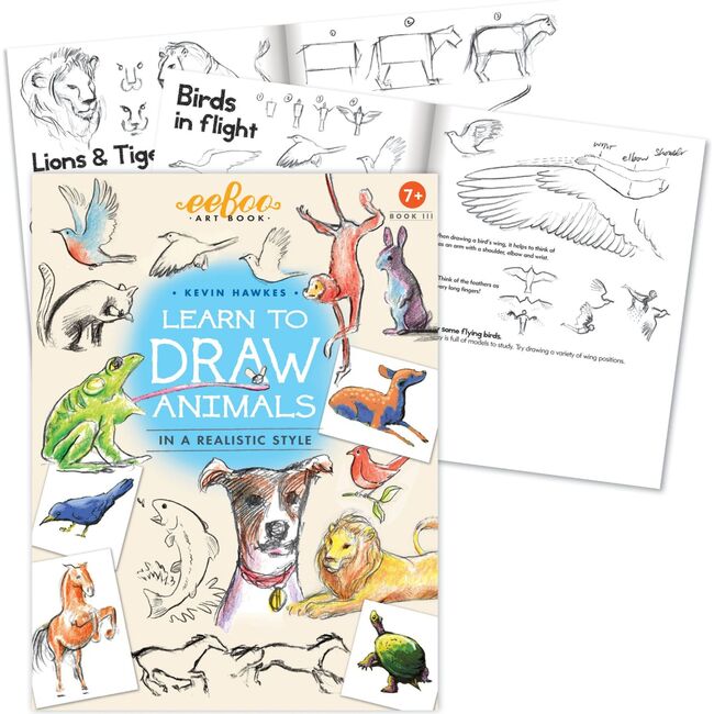 Art Book 3 - Learn to Draw Animals with Kevin Hawkes - Arts & Crafts - 2