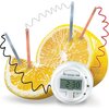 4M Kids Labs Lemon Clock - STEM Toys - 4