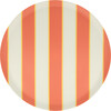 Mixed Stripe Recycled Plastic Large Plates - Party - 4