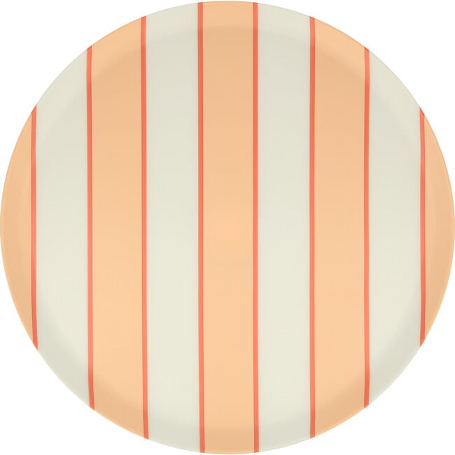 Mixed Stripe Recycled Plastic Large Plates - Party - 6