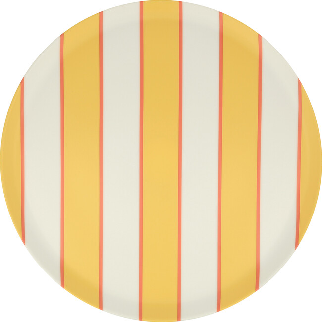 Mixed Stripe Recycled Plastic Large Plates - Party - 7