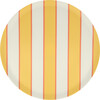 Mixed Stripe Recycled Plastic Large Plates - Party - 7