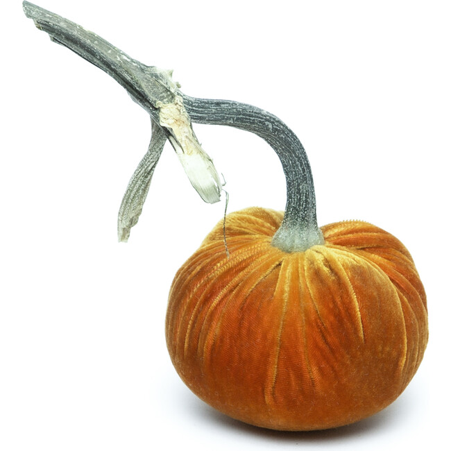 Silk Velvet Pumpkin, D'or
