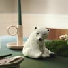 Polar Bear Mother - Accents - 2