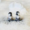 Pingo & Pjevs Baby Penguins - Accents - 2
