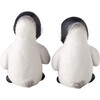 Pingo & Pjevs Baby Penguins - Accents - 3