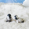 Futte & Gumbi Baby Penguins - Accents - 2