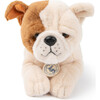BT CHAPS BERTHA THE AMERICAN BULLDOG in Giftbox 8" - Plush - 2