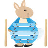 Peter Rabbit: Xylophone - Wooden Musical Instrument - Musical - 1 - thumbnail