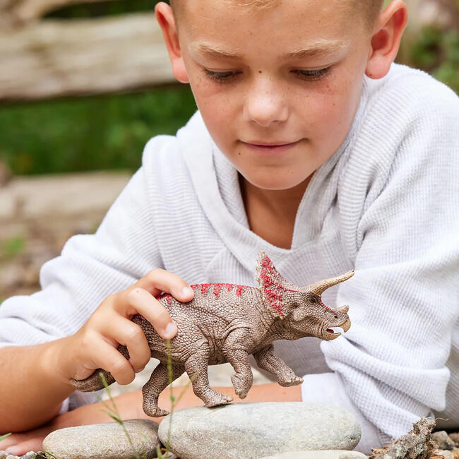 Schleich Dinosaurs: Triceratops - Dinosaur Action Figure